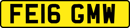 FE16GMW