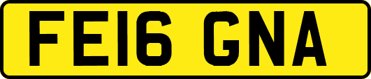 FE16GNA
