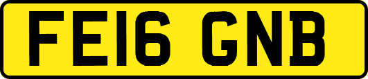 FE16GNB