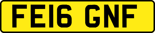FE16GNF