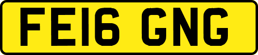 FE16GNG