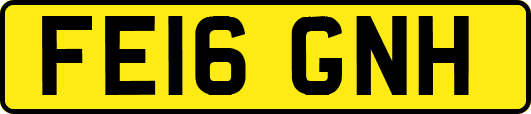 FE16GNH