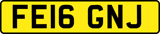 FE16GNJ
