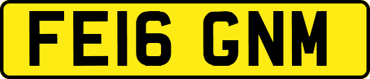 FE16GNM