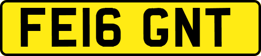 FE16GNT