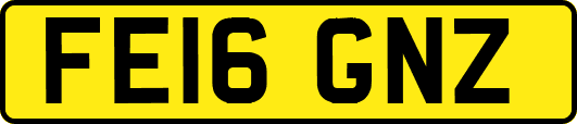 FE16GNZ