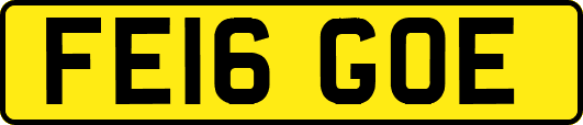 FE16GOE