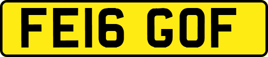 FE16GOF