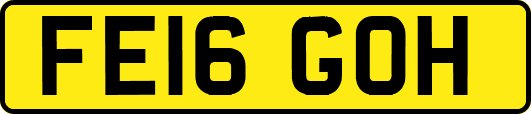 FE16GOH