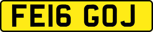 FE16GOJ