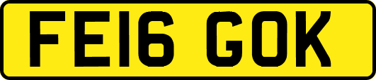 FE16GOK