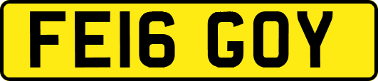 FE16GOY