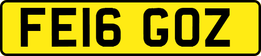 FE16GOZ