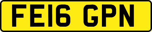 FE16GPN