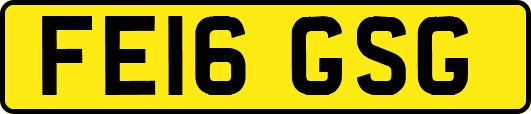 FE16GSG