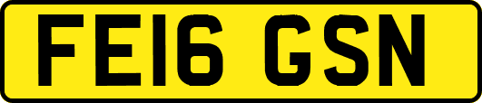 FE16GSN