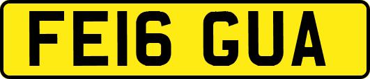 FE16GUA