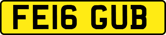 FE16GUB