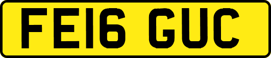 FE16GUC