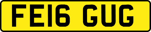 FE16GUG