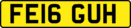 FE16GUH