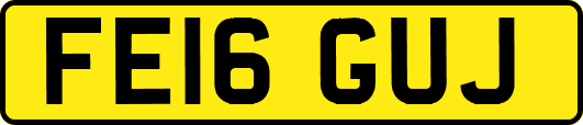 FE16GUJ