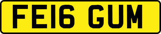 FE16GUM
