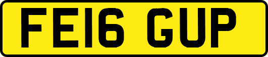 FE16GUP