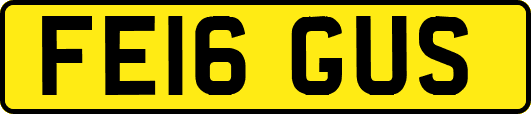 FE16GUS