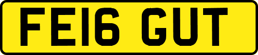 FE16GUT