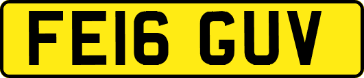 FE16GUV