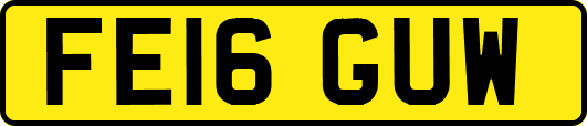 FE16GUW