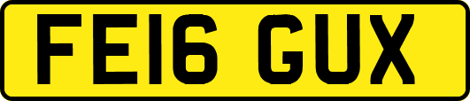FE16GUX