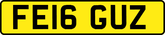FE16GUZ