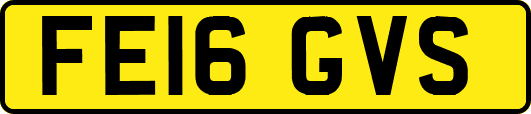 FE16GVS