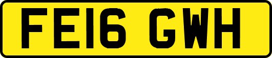 FE16GWH