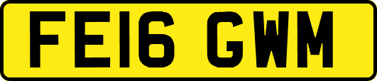 FE16GWM