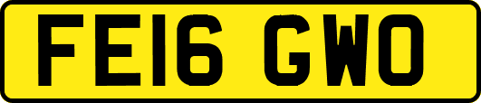 FE16GWO