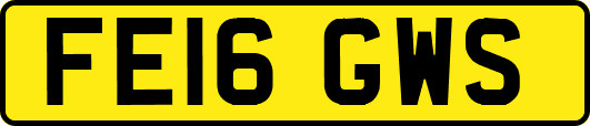 FE16GWS