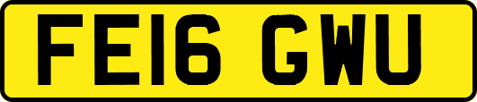 FE16GWU