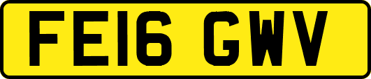 FE16GWV