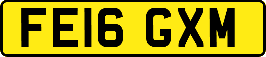FE16GXM