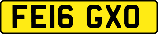 FE16GXO