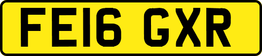 FE16GXR