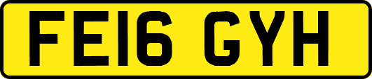 FE16GYH