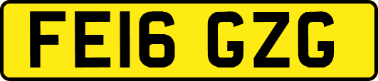 FE16GZG