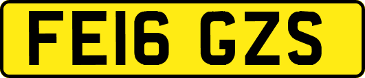 FE16GZS