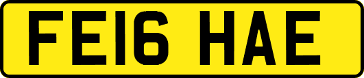 FE16HAE