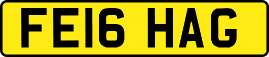 FE16HAG