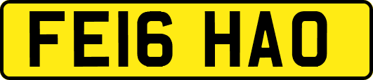 FE16HAO